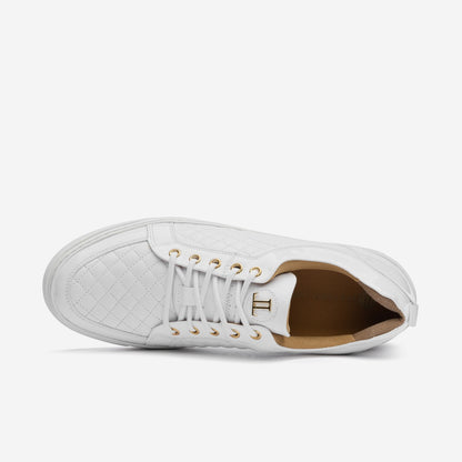 Low Top - Ezio - White-Gold